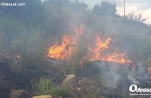 Под Одессой пожар: горели склоны