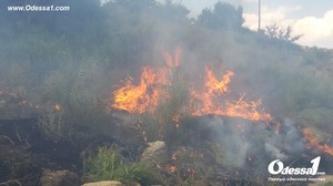 Под Одессой пожар: горели склоны