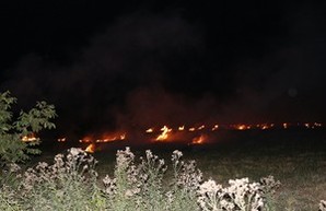 В Одесской области массово горят поля
