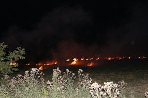 В Одесской области массово горят поля