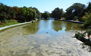 В парке Победы приступили к очистке третьего пруда: на дне осталось много мертвой рыбы  (ФОТО)