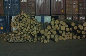 Прокуратура Одесской области наложила арест на 42 контейнера леса