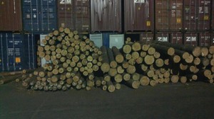 Прокуратура Одесской области наложила арест на 42 контейнера леса