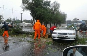 В Одессе дерево упало на автомобиль: есть потерпевший (ФОТО)