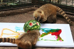 Одесскому зоопарку исполнилось 94 года