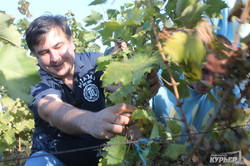 В Шабо Саакашвили собирал виноград и наградил одессих паралимпийцев