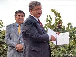 Порошенко в Одесской области подписал закон об отмене лицензирования виноделия (ФОТО)