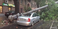 Деревопад в Одессе: раздавленные автомобили, упавшие столбы