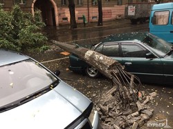 Деревопад в Одессе: раздавленные автомобили, упавшие столбы (ФОТО, ВИДЕО)