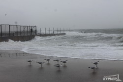 Одесса, море, шторм