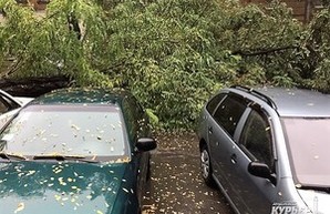 Ураган в Одессе: есть погибший