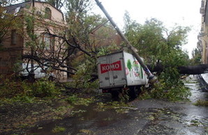 В центре Одессы рухнувшее дерево раздавило грузовик (ФОТО)