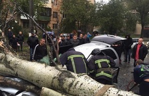 От урагана в Одессе погибло уже два человека