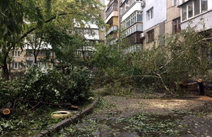 Приморский район Одессы после урагана: заблокированные трамваи и бурелом (ФОТО)