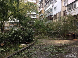 После урагана Чубакка и штурмовики Дарта Вейдера убирают улицы Одессы (ФОТО)