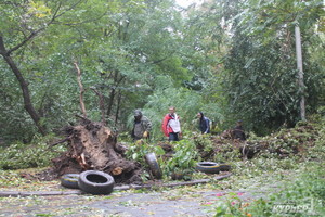 Ураган в Одессе поломал полторы тысячи деревьев