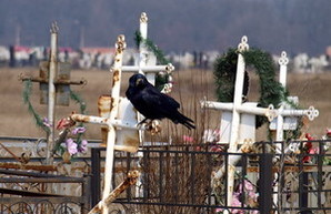 Непогода: На одесских кладбищах ураган повредил около 30 памятников