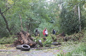 В Одессе количество поврежденных деревьев возросло до двух тысяч (ФОТО)