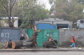 Пересыпь после урагана: коммунальщики работают в усиленном режиме (ФОТО)