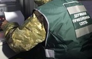 Одесские пограничники задержали молдаван с чесноком