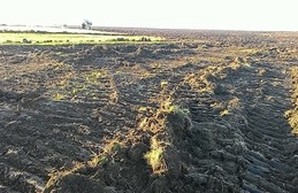 На юге Одесской области распахивают последний участок заповедной степи (ФОТО)