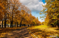 В Одессу пришла золотая осень (ФОТО)