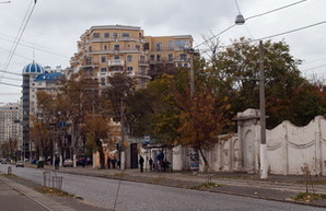 В Одессе снова будут сажать молодые деревья на Французском бульваре
