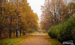 Осенняя природа в мрачный ноябрьский день (ФОТО)