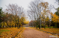Осенняя природа в мрачный ноябрьский день (ФОТО)