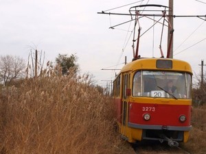 Дождь остановил знаменитый "камышовый" трамвай Одессы