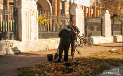 Одесситы посадили деревья на Французском бульваре (ФОТО)