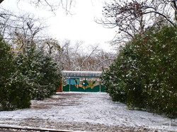 Яркие краски осени и снег в одесском парке Шевченко (ФОТО)