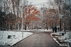Заснеженный осенний Парк Победы в Одессе (ФОТО)