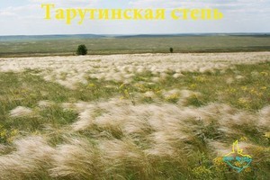 Одесский эколог: европейцы беспокоятся о "Тарутинской степи"