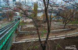 В Одессе продолжают превращать зеленую зону под Приморском бульваром в Стамбульский парк (ФОТО)