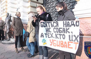 Одесситы пикетировали областной главк полиции с требованием защитить животных (ФОТО)