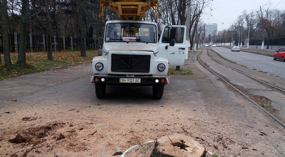 Одесские активисты проверили законность уничтожения деревьев на Французском бульваре