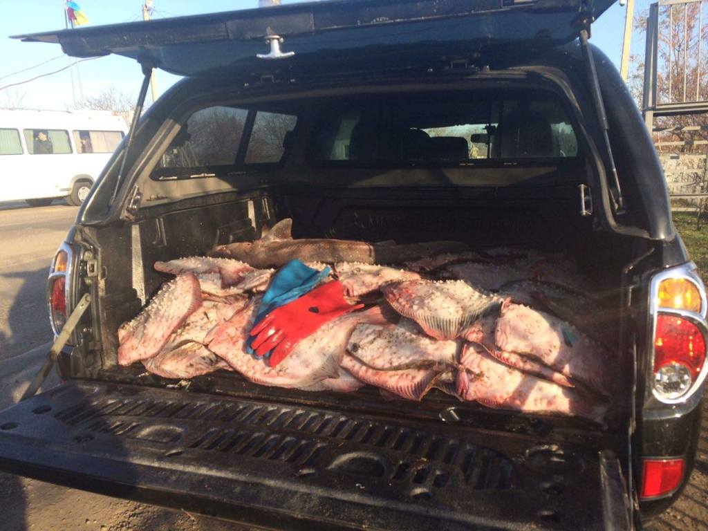 Одесские пограничники задержали браконьеров с 0,5 тонн калкана