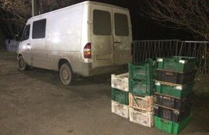 Одесские пограничники задержали браконьеров с крупной партией калкана (ФОТО)