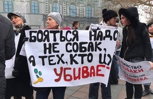В Одессе обострились страсти вокруг бездомных собак