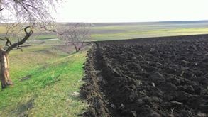 Сегодня в Одесе экологи будут судиться за Тарутинскую степь