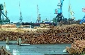 Нардеп Береза рассказал о незаконных махинациях в портах Одесской области (ФОТО)