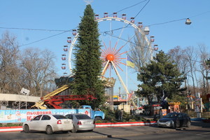 В Одессе начали устанавливать 15 метровую новогоднюю елку (ФОТО)