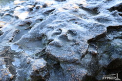 У берегов Одессы уже появился лед на приморских скалах (ФОТО)