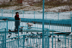 В Одессе выпал снег: пейзажи парка Победы и Чкаловского пляжа (ФОТО)