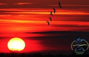 Село в Одесской области решило расширить свои границы за счет парка "Тузловские лиманы"