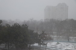 Сирена включена: Одессу засыпает снегом (ФОТО)