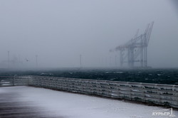 На одесском побережье бушует снежный шторм (ФОТО)