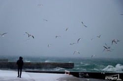 На одесском побережье бушует снежный шторм (ФОТО)