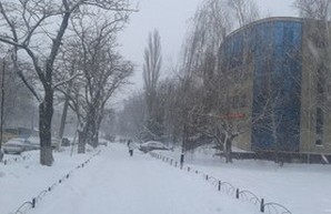 Для одесских безработных  работает электронная очередь регистрации